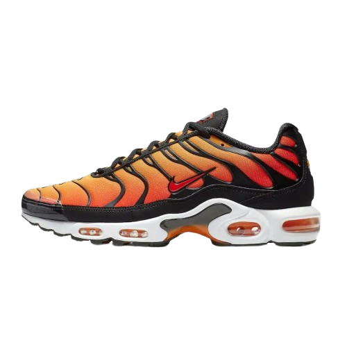 Nike Air Max Plus TN OG