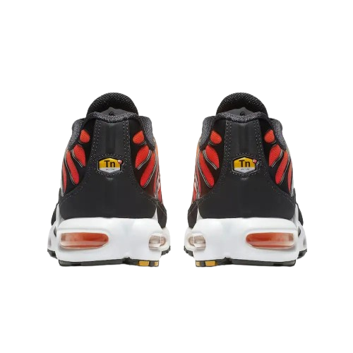 Nike Air Max Plus TN OG