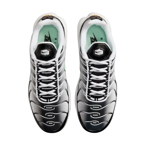 Nike Air Max Plus TN ''Seafoam''